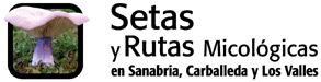 Setas y Rutas Micológicas en Sanabria, Carballeda y Los Valles